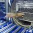 How to Ensure Longevity and Performance of Your Industrial Cleaning System - Ecoclean India